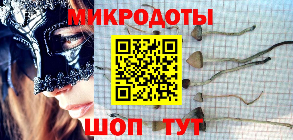 Псилоцибиновые грибы MAGIC MUSHROOMS  Вход с VPN  Норильск 