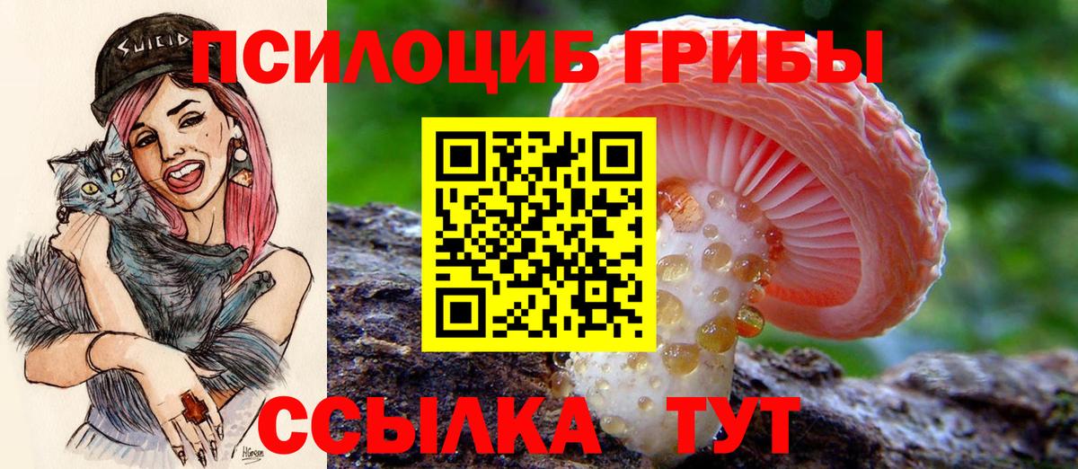Псилоцибиновые грибы прущие грибы Норильск